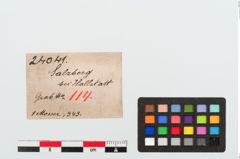 Etiketten zu Eisengriffangelmesser (NHMW-PRAE-024041)